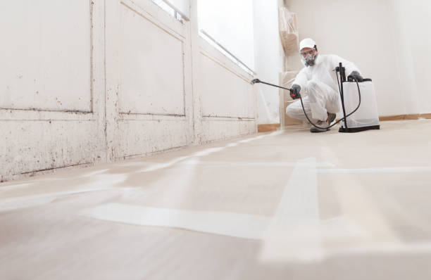 Trusted Mold Inspection service in Woodstock, VA - WQB Mold Removal